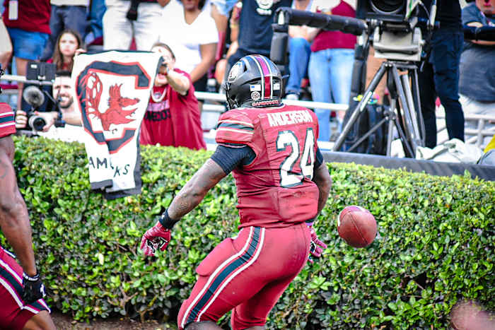 RB #24 Mario Anderson